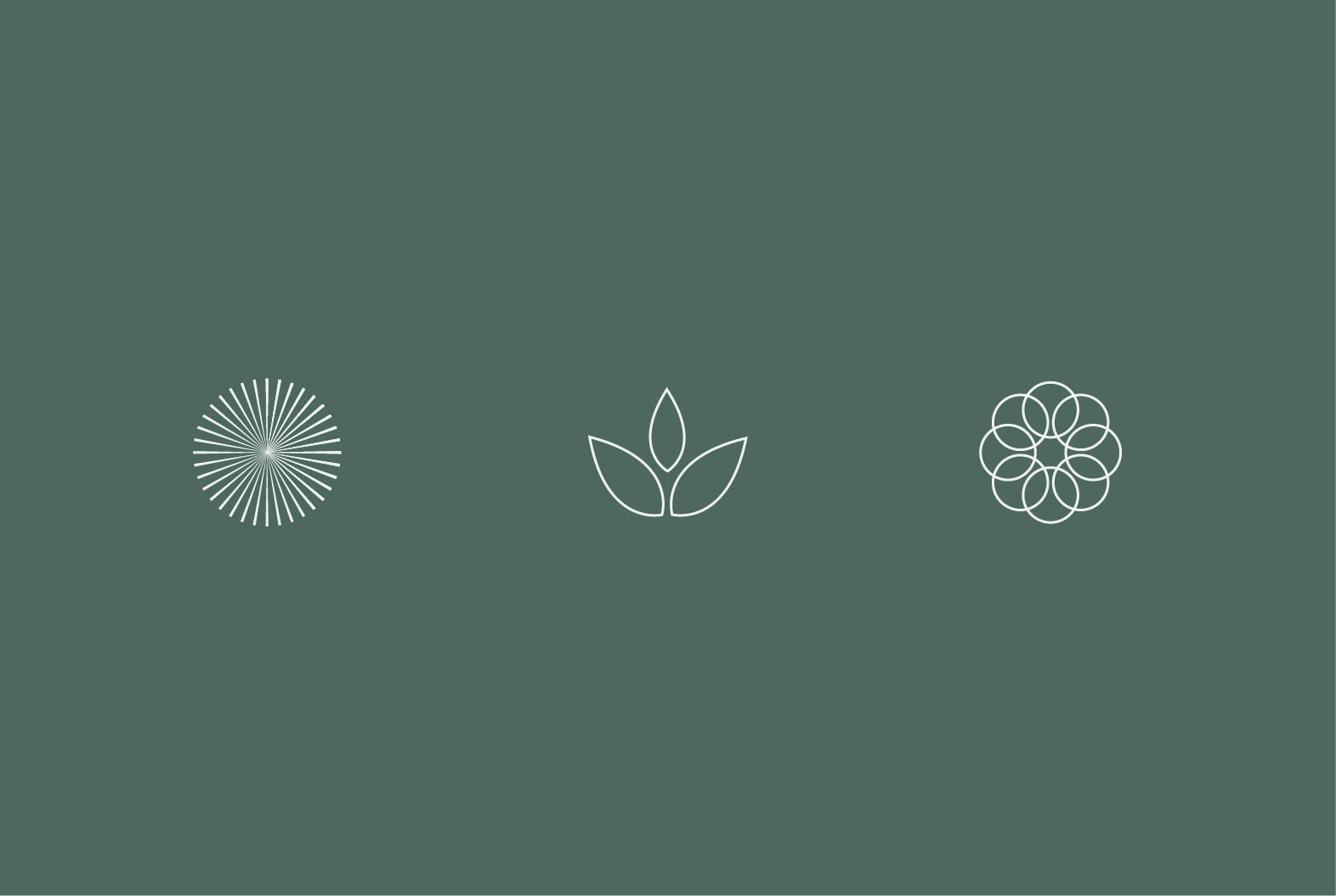 Three explored symbol marks: a radiating sunburst, a three-leaf lotus, and a layered flower motif, on a sage green background